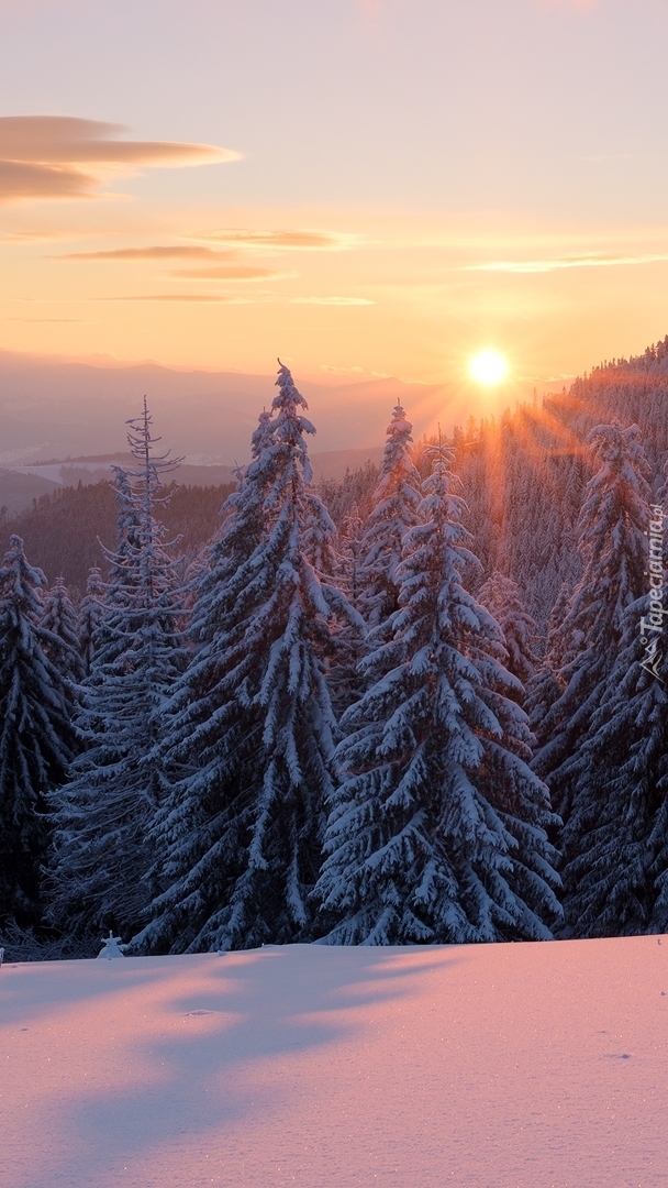 Wschód słońca nad Gorganami