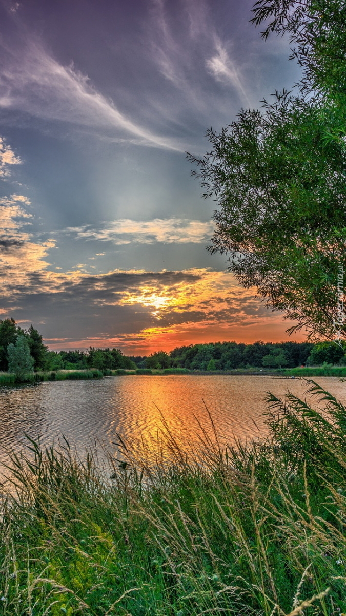 Wschód słońca nad jeziorem