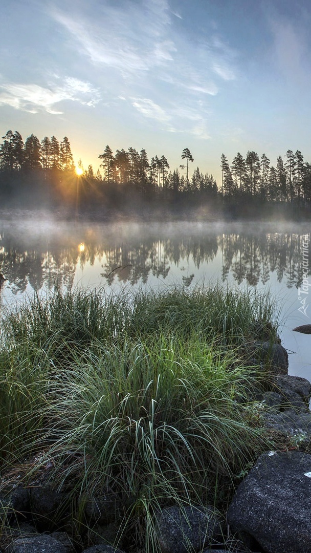 Wschód słońca nad jeziorem Ładoga