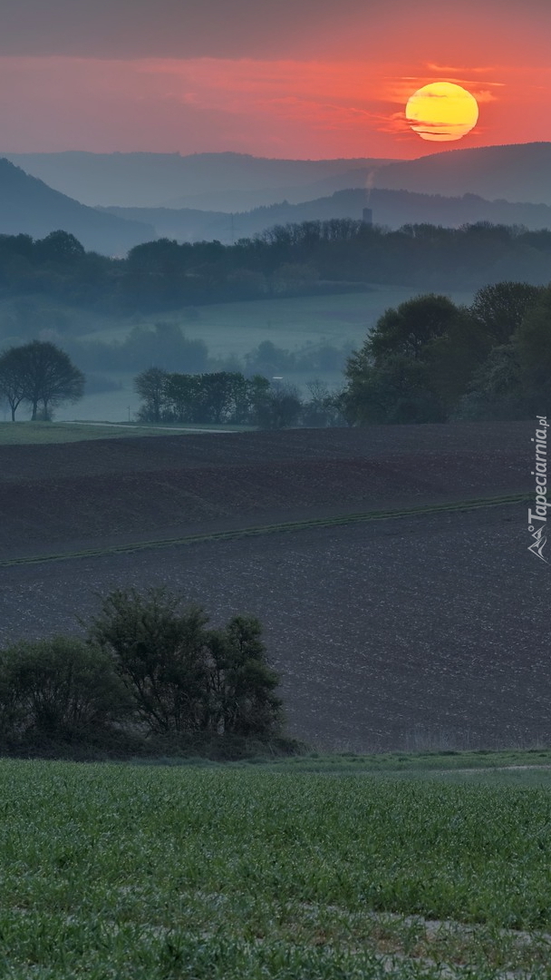 Wschód słońca nad polem