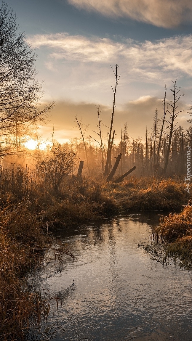 Wschód słońca nad rzeką