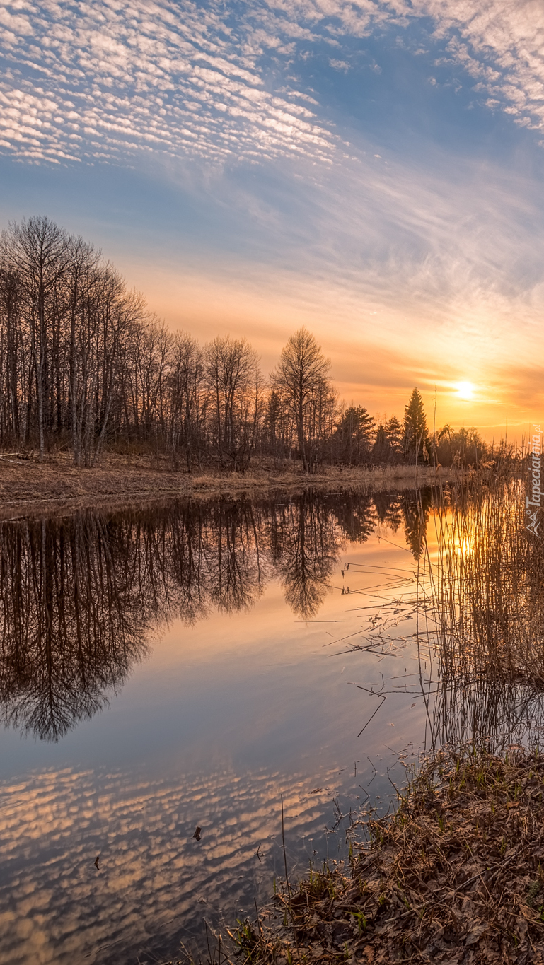 Wschód słońca nad rzeką