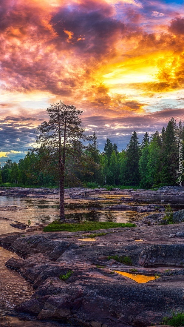 Wschód słońca nad rzeką Kiiminkijoki