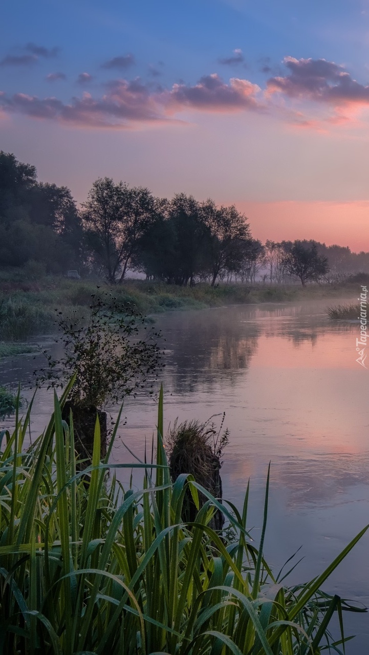 Wschód słońca nad rzeką Sherna