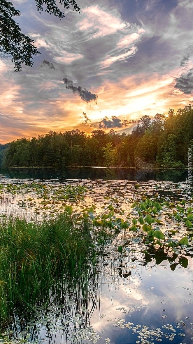 Wschód słońca nad rzeką