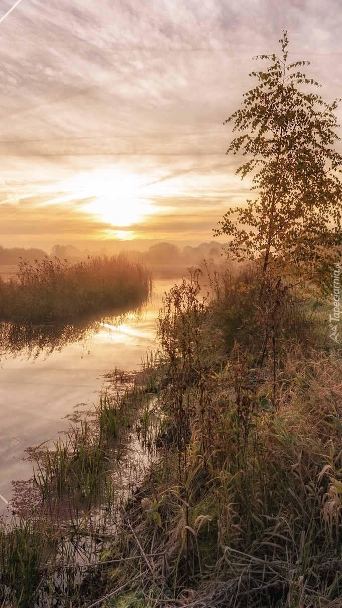 Wschód słońca nad zamglona rzeką