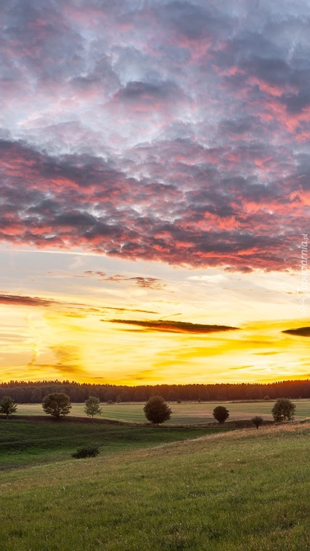 Wschodzące słońce nad łąką