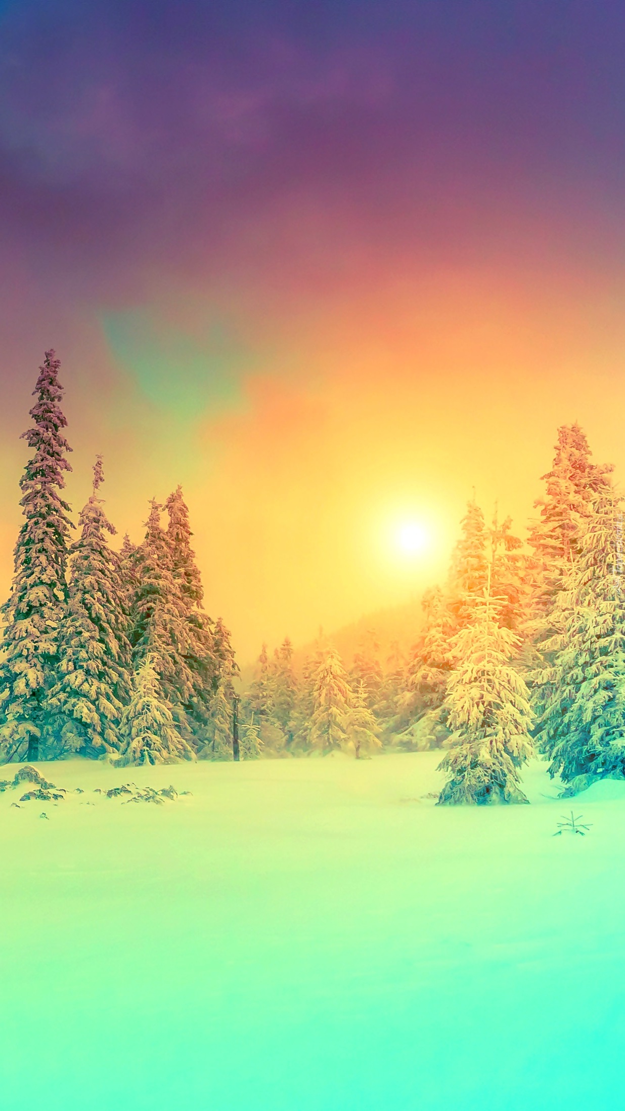 Wschodzące słońce w lesie zimową porą