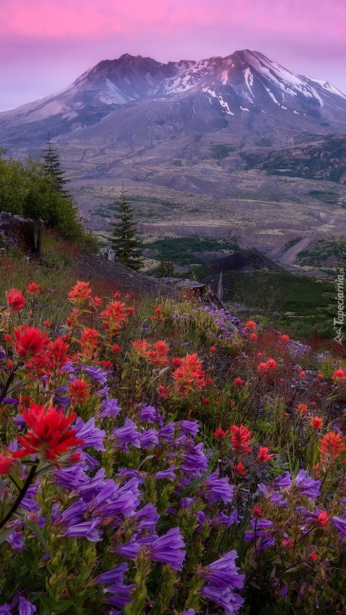 Wulkan Mount St. Helens