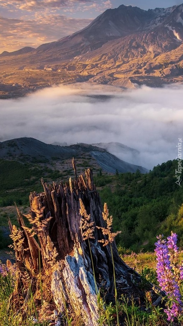 Wulkan Mount St Helens