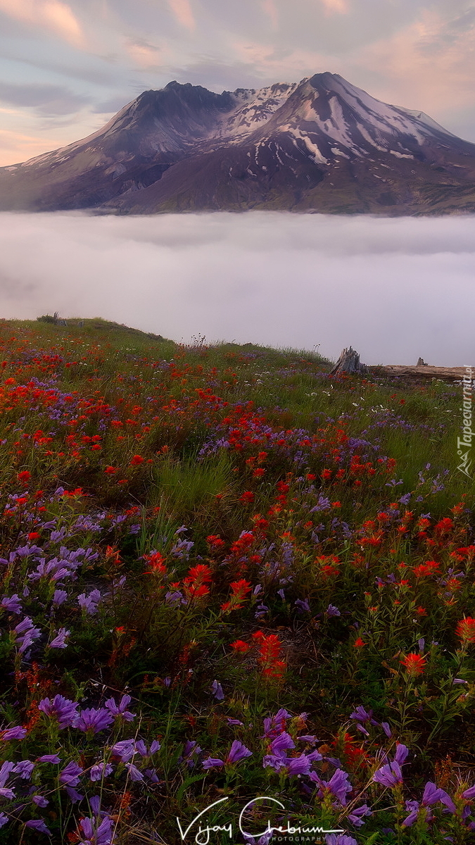 Wulkan Mount St. Helens