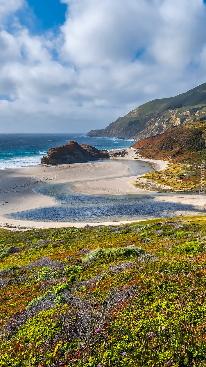 Wybrzeże Big Sur w Kalifornii