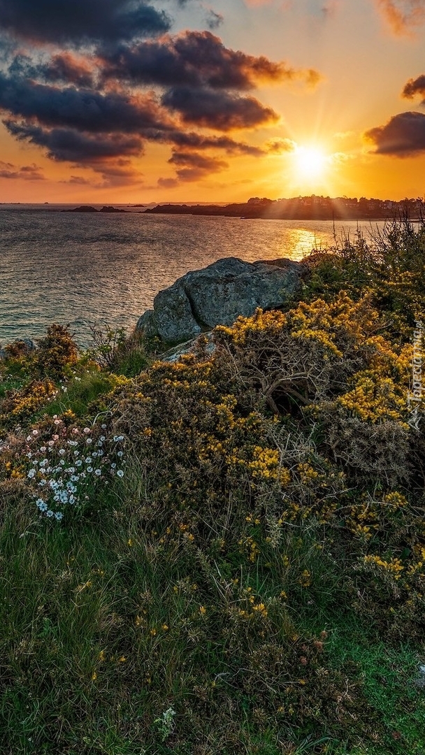 Wybrzeże Pointe de la Garde Guerin w Bretanii