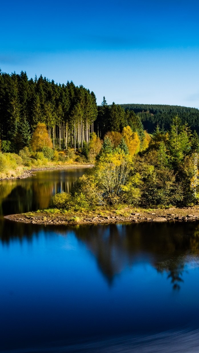 Wysepka na jeziorze Kielder Water