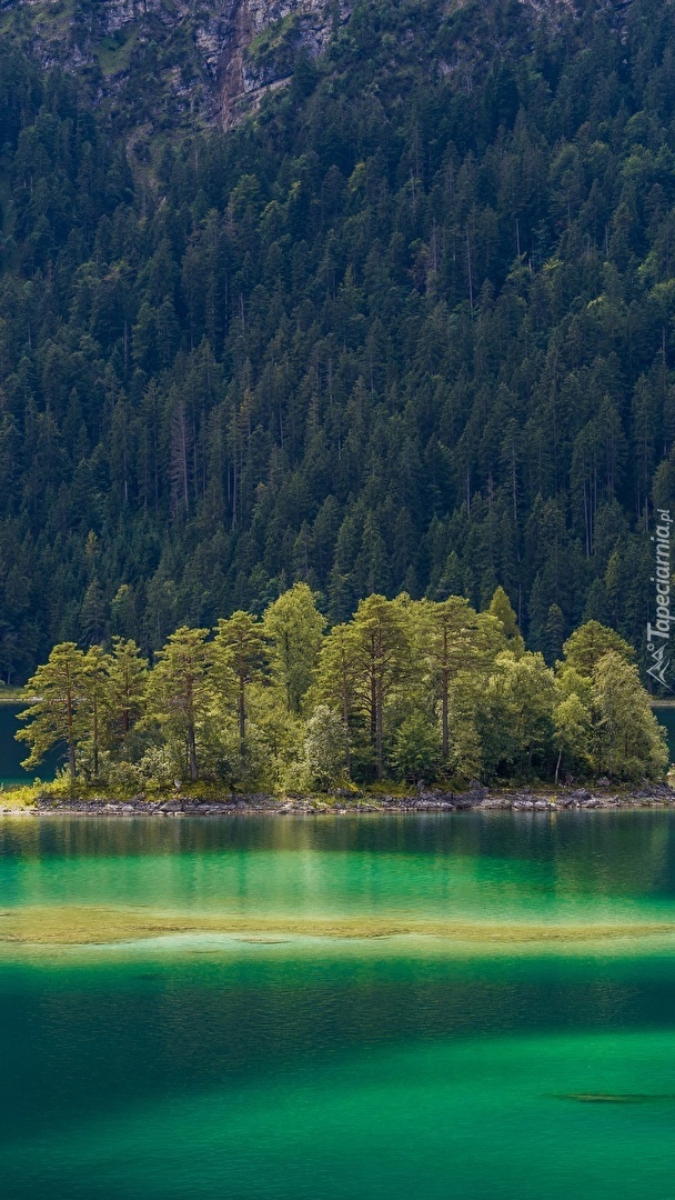 Wysepka z drzewami na jeziorze Eibsee