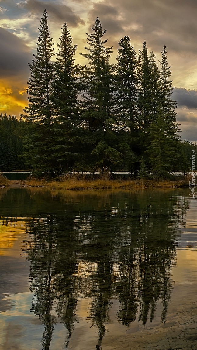 Wysepka z drzewami na jeziorze Two Jack Lake