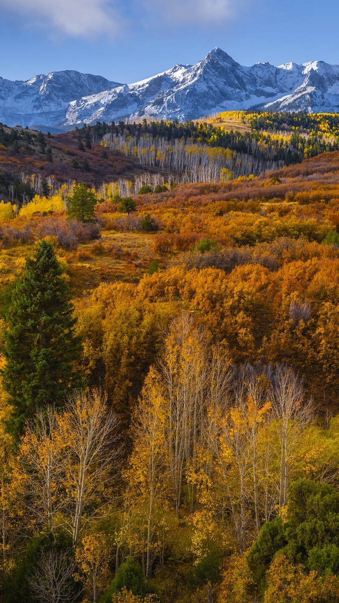 Wysokogórska przełęcz Dallas Divide w kolorach jesieni