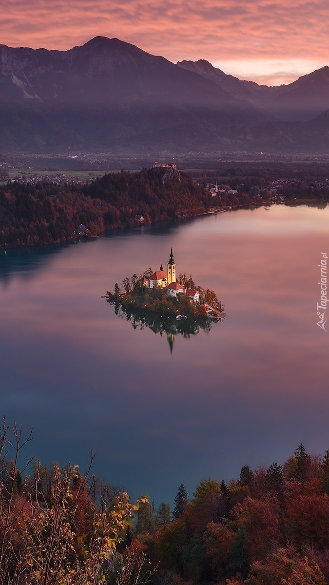 Wyspa Blejski Otok na środku jeziora Bled Lake