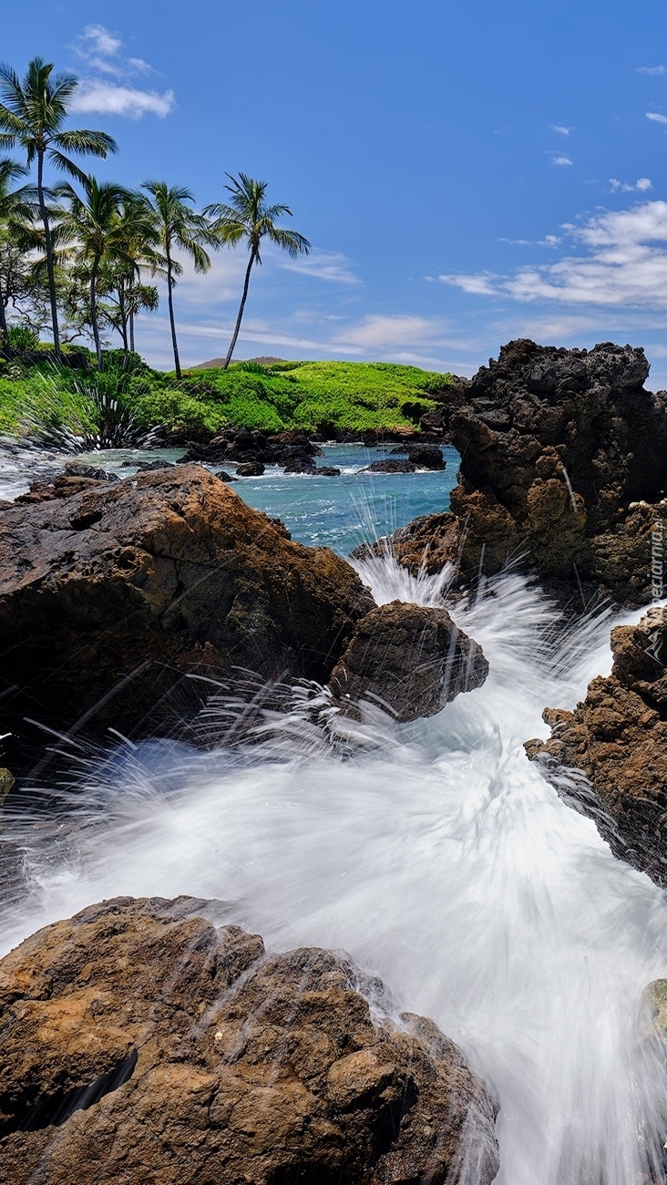 Wyspa Maui na Hawajach