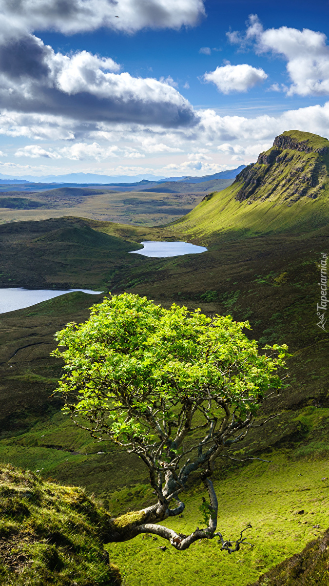 Wyspa Skye w Norwegii