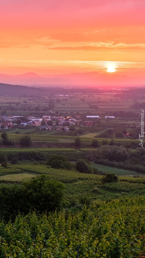 Wzgórza Kaiserstuhl w Niemczech