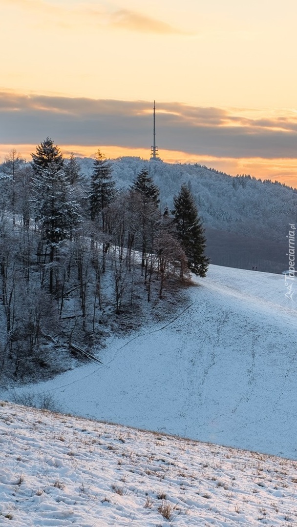 Wzgórza Kaiserstuhl zimową porą
