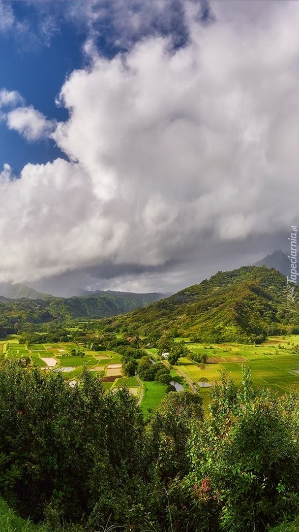 Wzgórza na wyspie Kauai