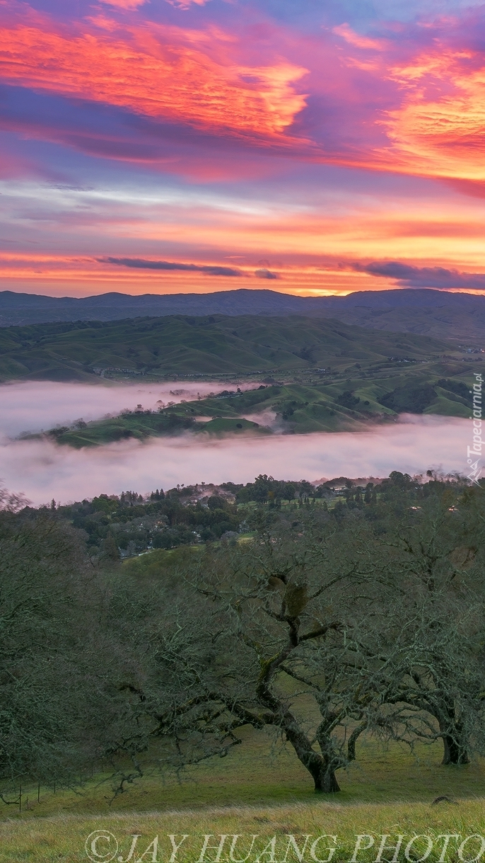 Wzgórza nad doliną Sunol