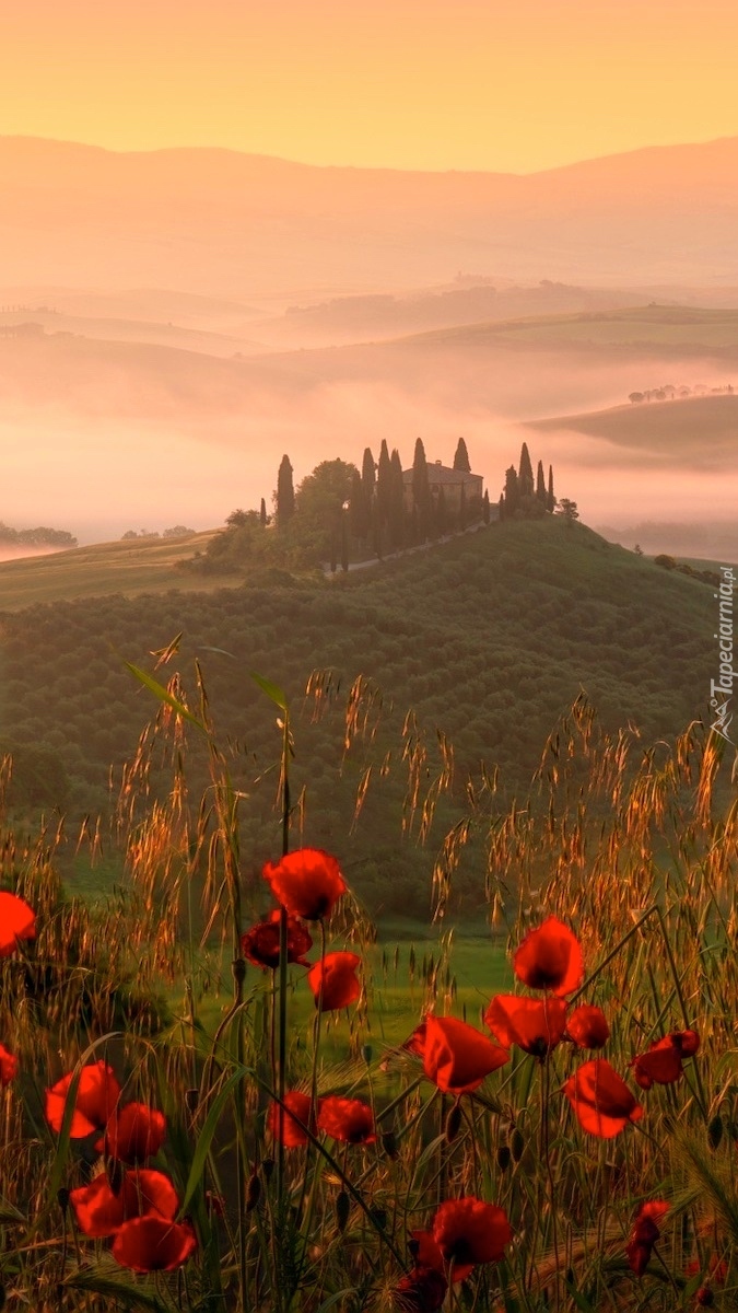 Wzgórza Toskanii we mgle