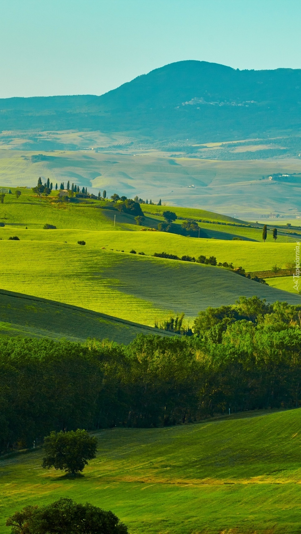 Wzgórza w Toskanii