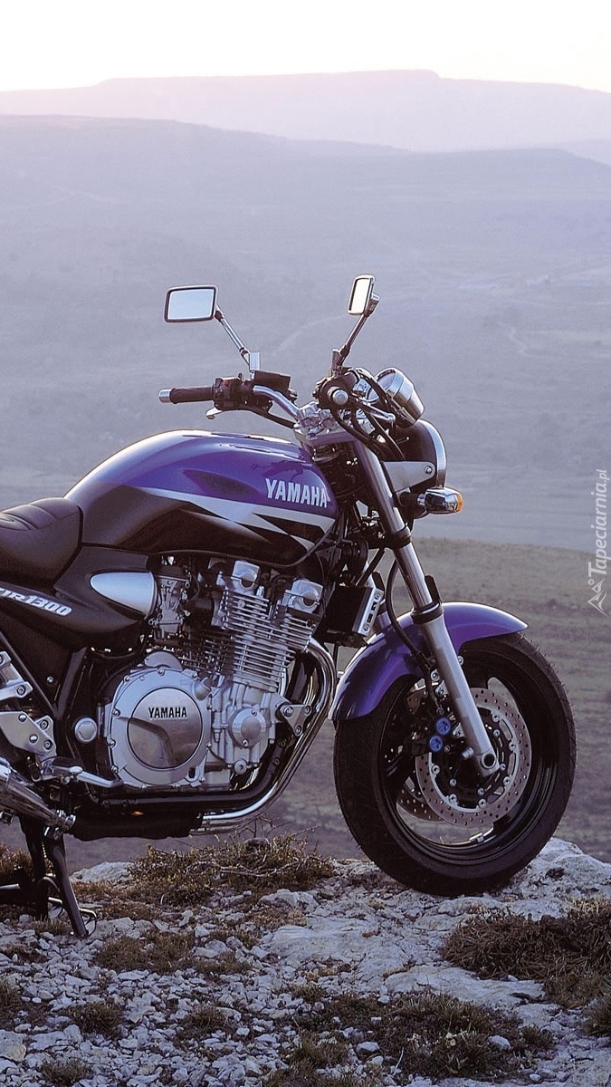 Yamaha XJR1300 na skale