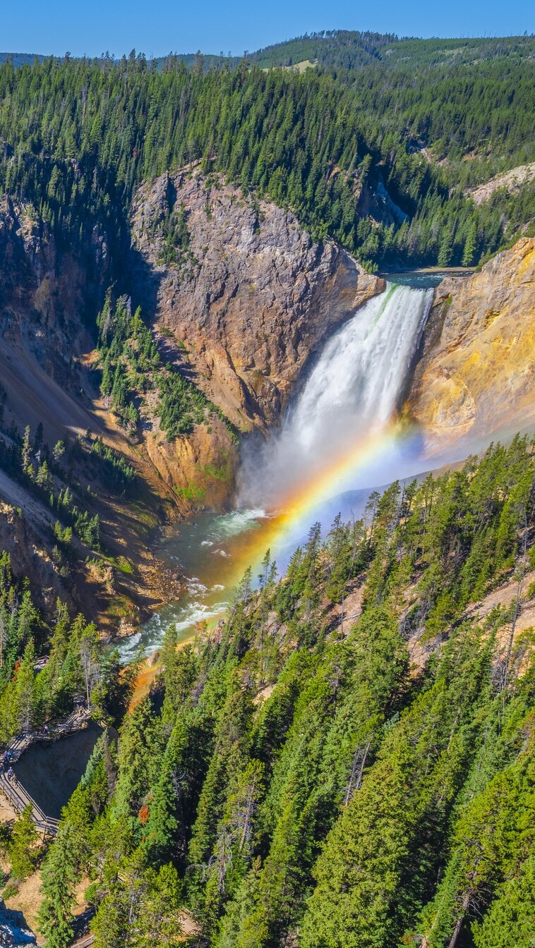 Yellowstone Falls