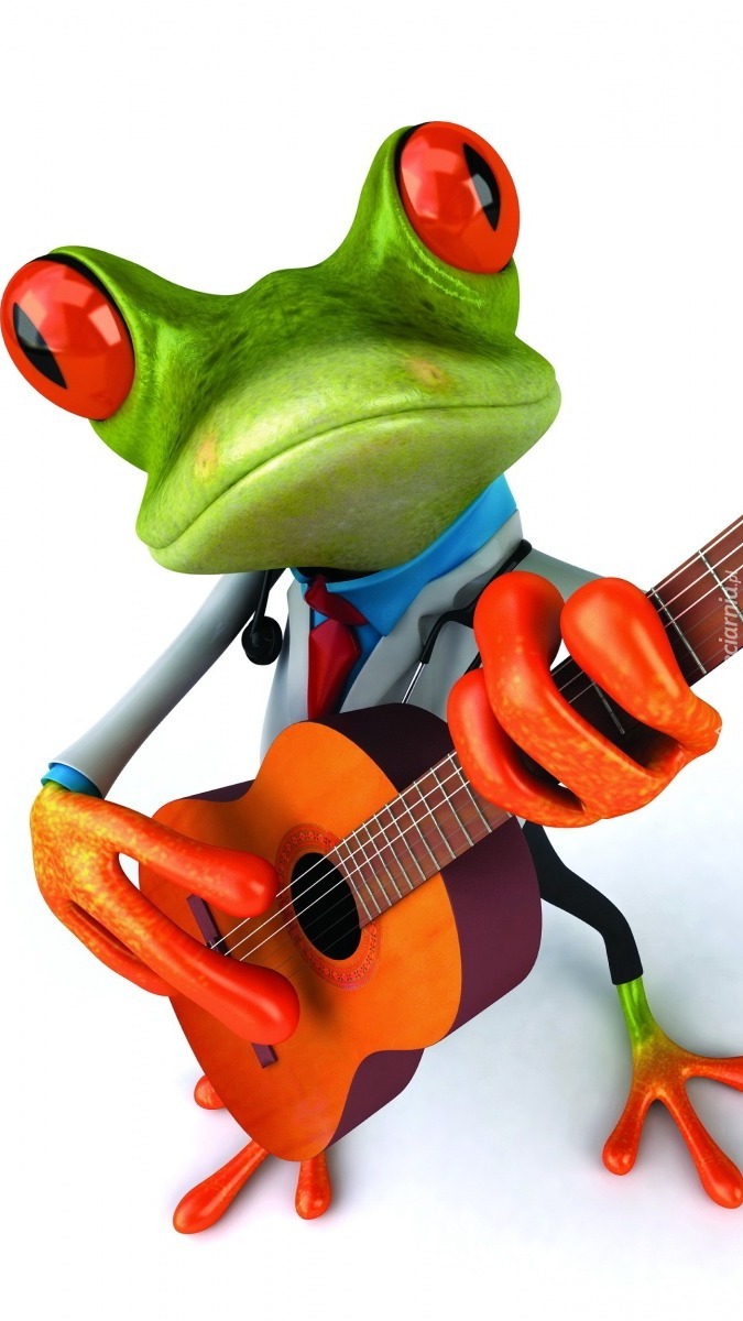 Żabi gitarzysta