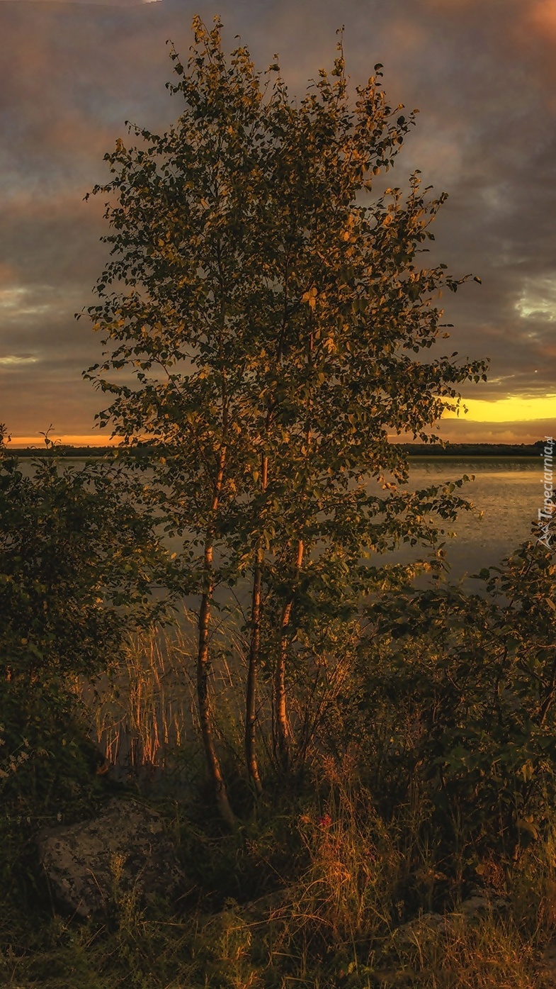 Zachmurzone niebo nad jeziorem