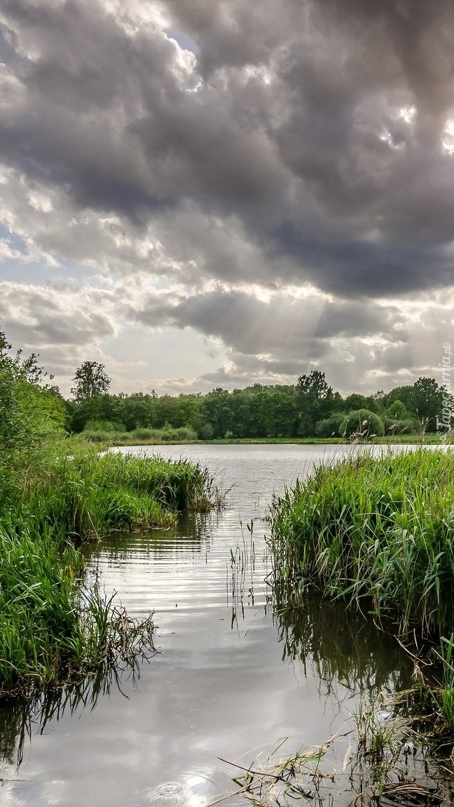 Zachmurzone niebo nad rzeką