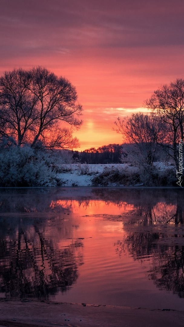 Zachód słońca i drzewa zimą odbite w rzece