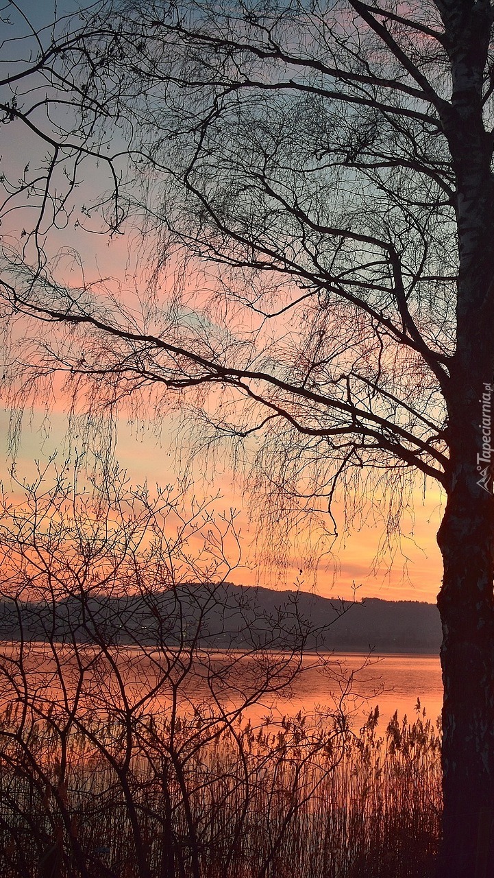 Zachód słońca nad jeziorem Sempachersee
