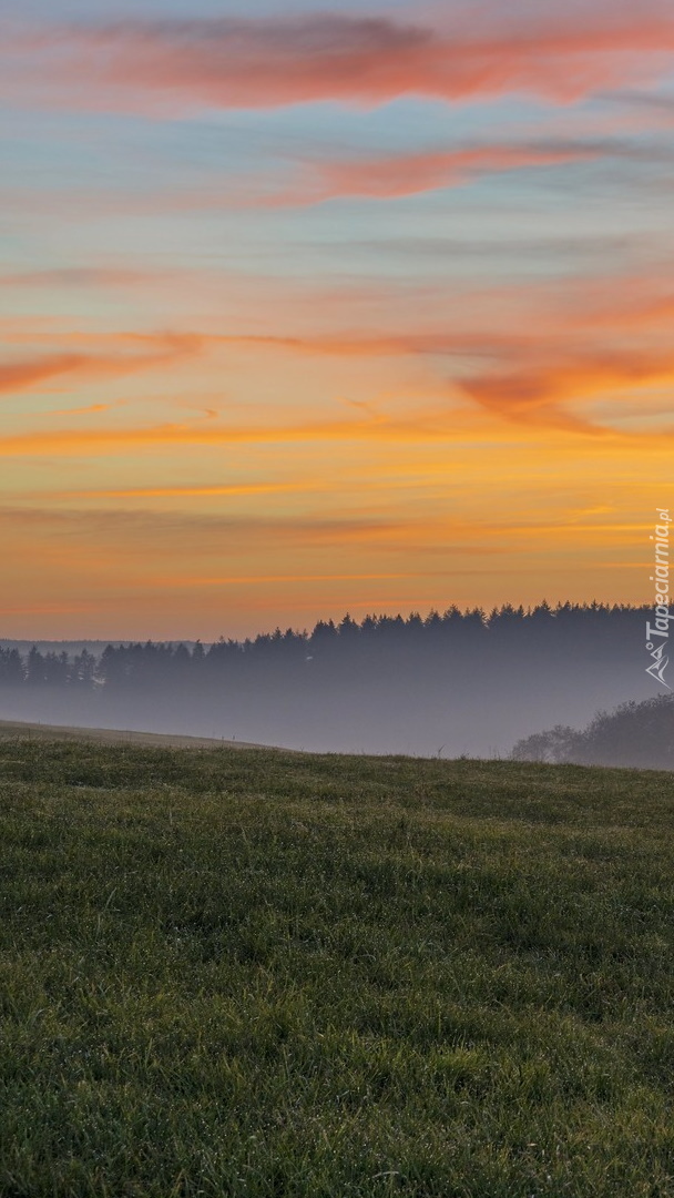 Zachód słońca nad łąką