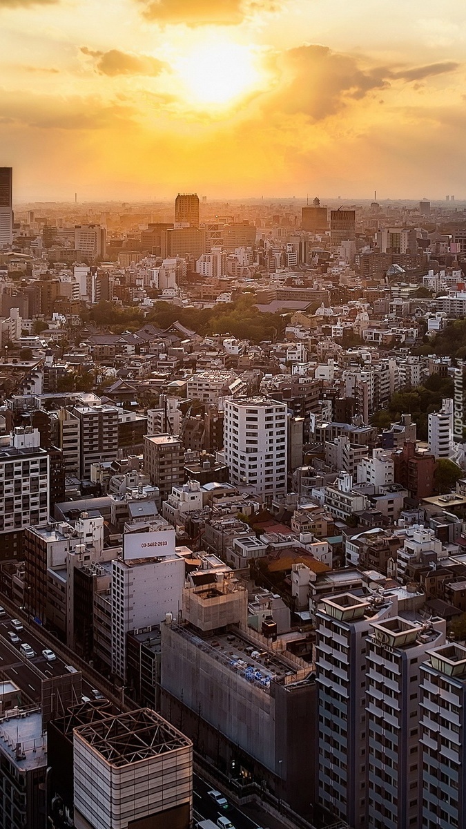 Zachód słońca nad Tokio