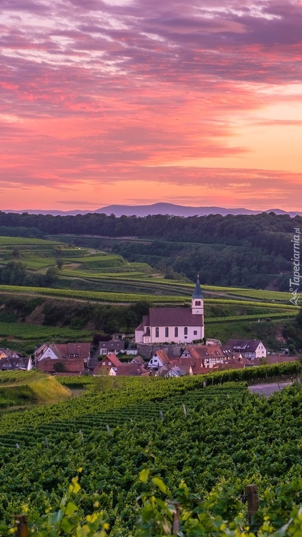 Zachód słońca nad wzgórzami Kaiserstuhl