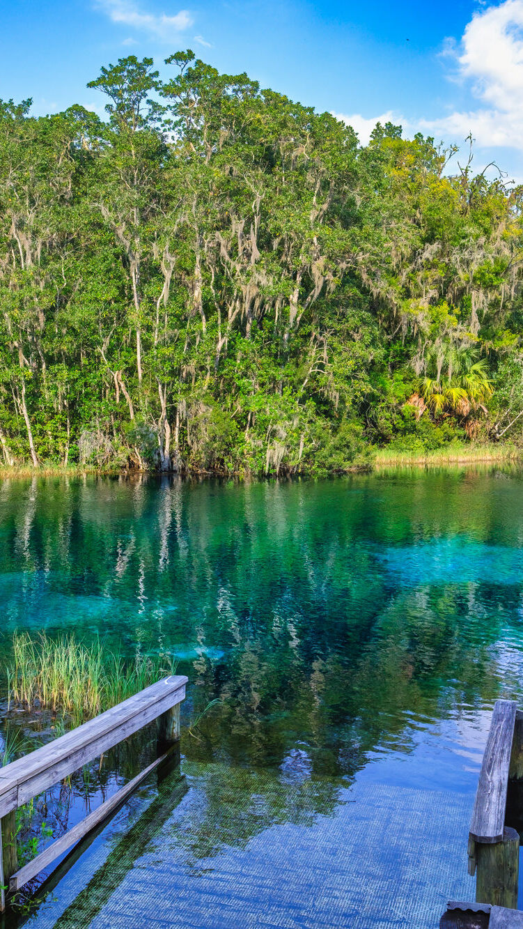 Zalany pomost nad jeziorem Parku Stanowym Rainbow Springs