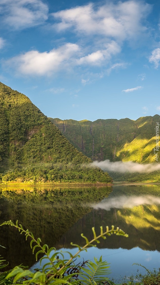 Zalesione góry nad jeziorem Grand Etang