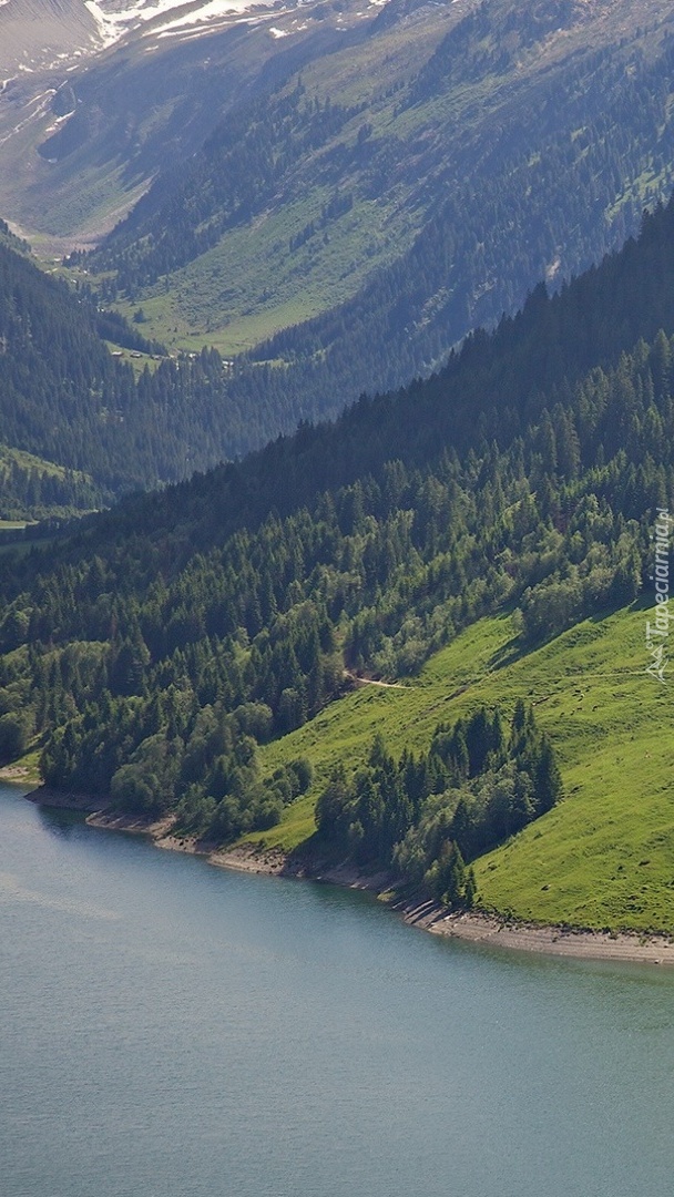 Zalesione góry nad jeziorem