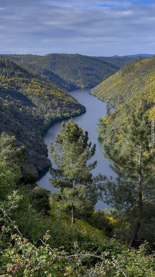 Zalesione góry nad krętą rzeką