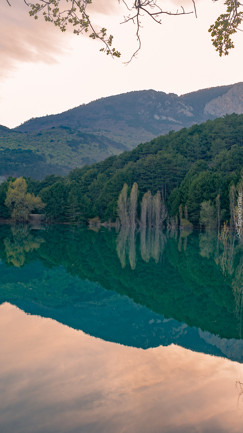 Zalesione wzgórze nad jeziorem