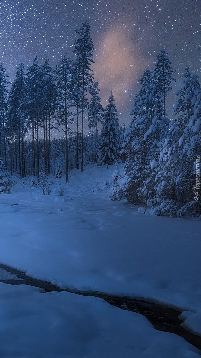 Zamarznięta rzeką nocą