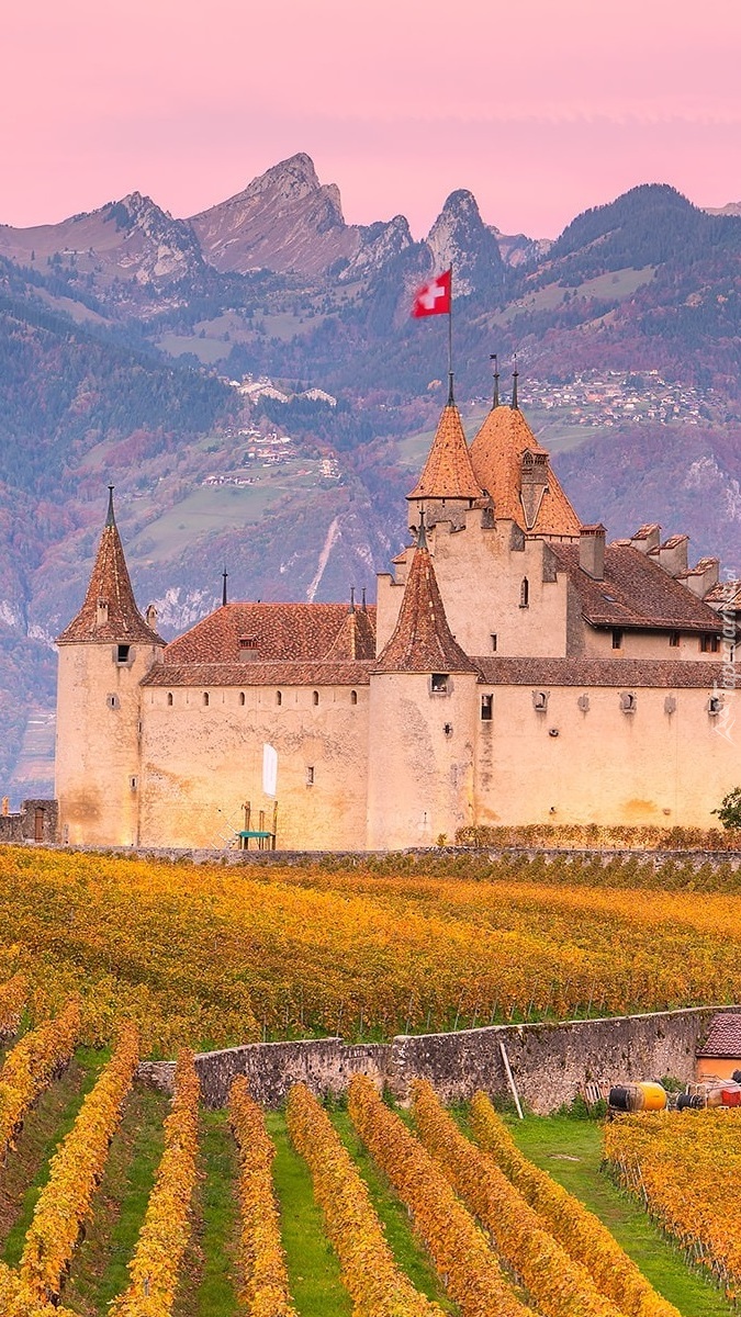 Zamek Aigle Castle w Szwajcarii