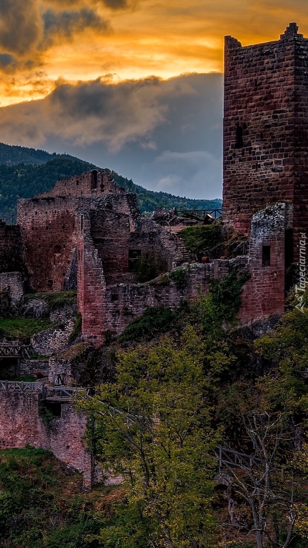 Zamek Castle Saint-Ulrich