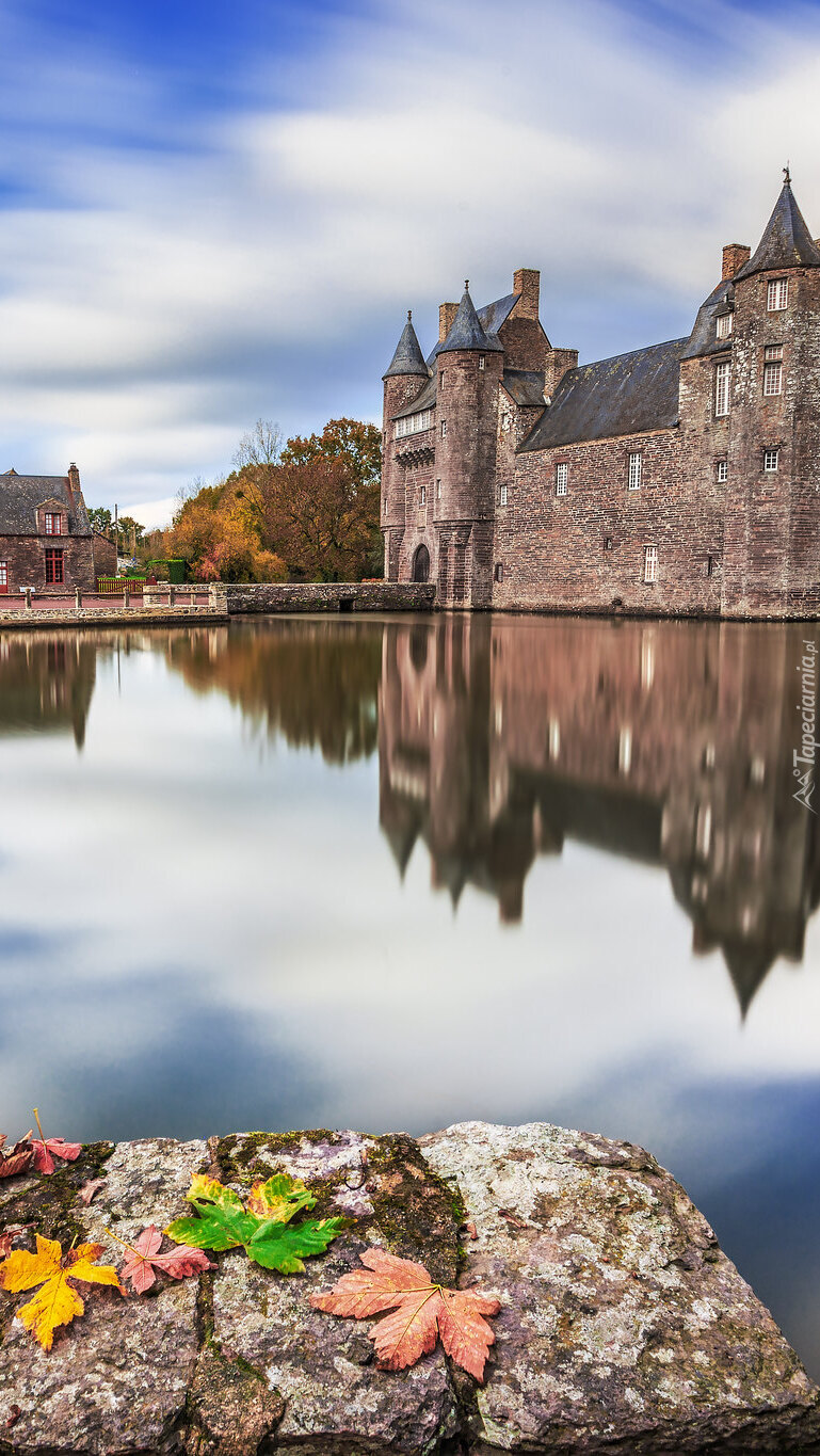 Zamek Chateau de Trecesson we Francji