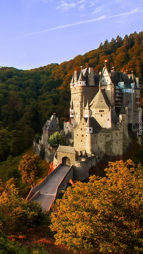 Zamek Eltz